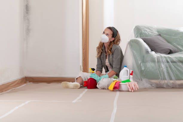 Reliable Mold Cleanup contractor in Paris, KY by Cheap Mold Removal
